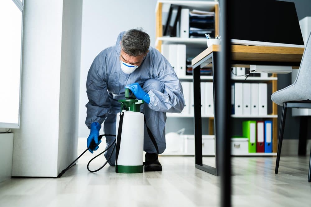 Commercial Pest Control by Clear Pest Control Clear Pest Control technician treating a skirting board during a commercial pest control visit in North East England