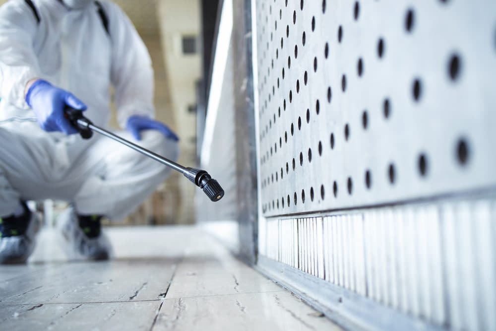 Property Clearance and Cleaning by Clear Pest Control Clear Pest Control operative cleaning a commercial floor edge during property clearance in North East England