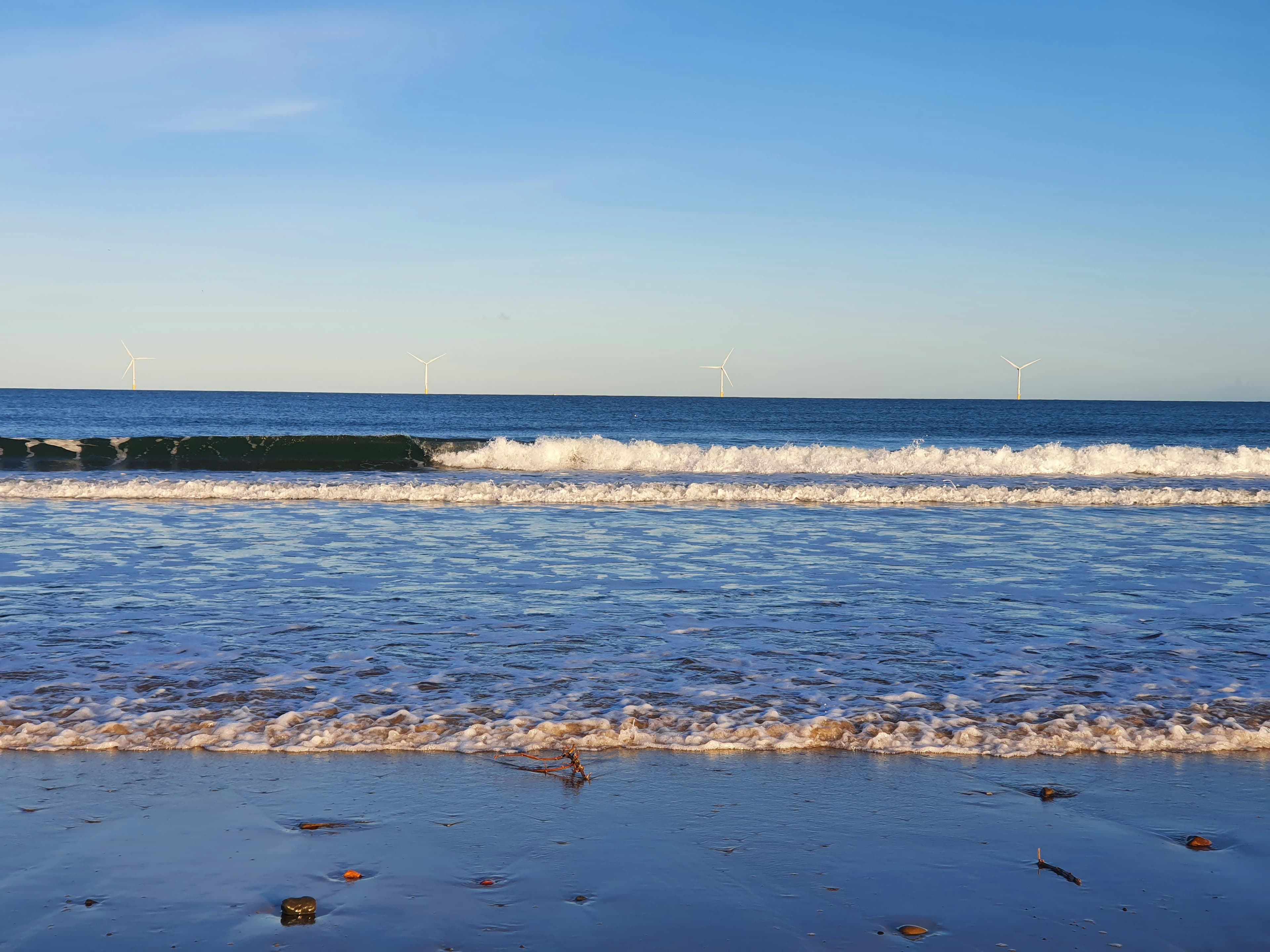 Pest Control in Blyth | Clear Pest Control Blyth coastline and offshore wind turbines in an area served by Clear Pest Control