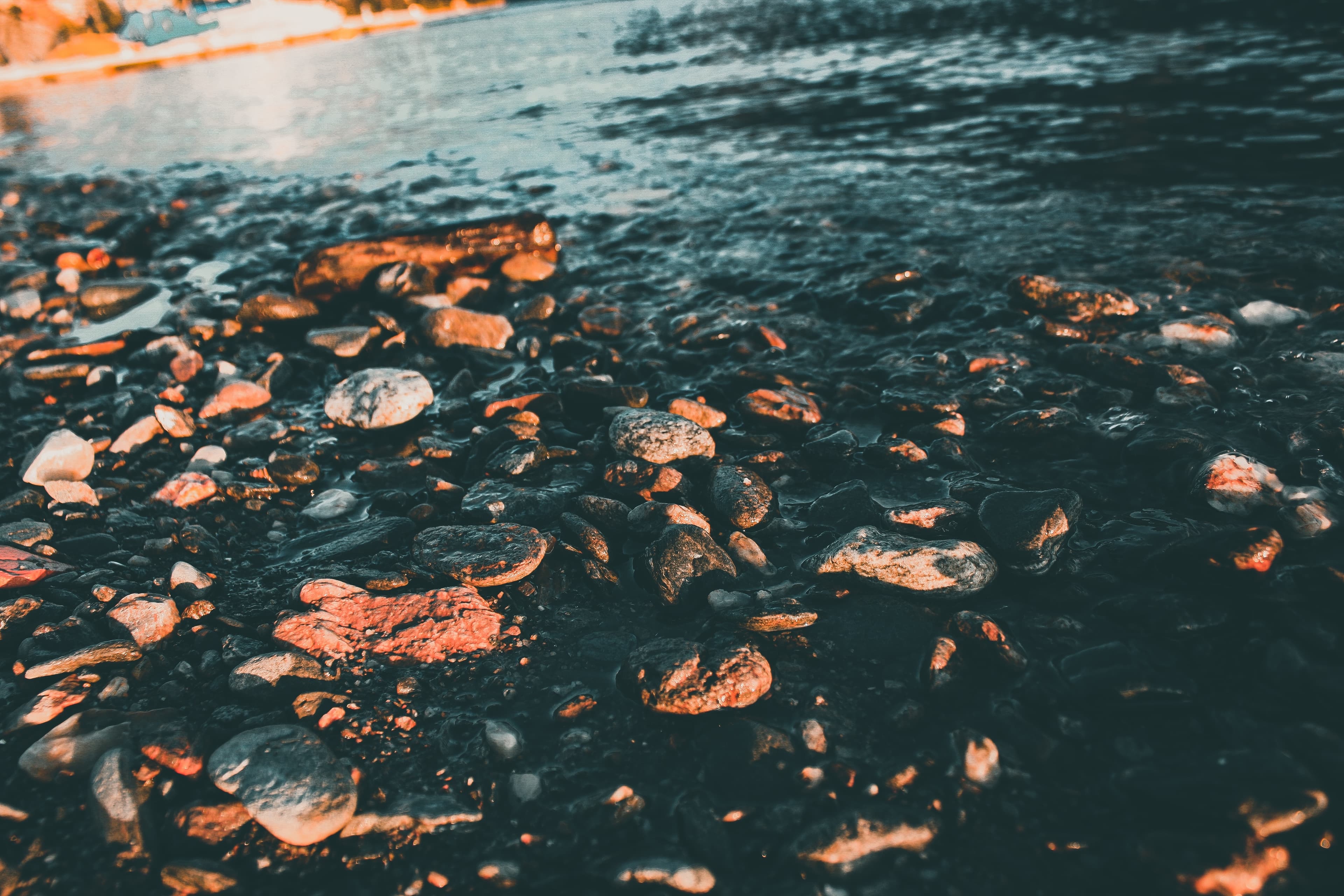 Pest Control in Cramlington | Clear Pest Control Fish swimming in a pond representing outdoor pest control coverage in Cramlington by Clear Pest Control