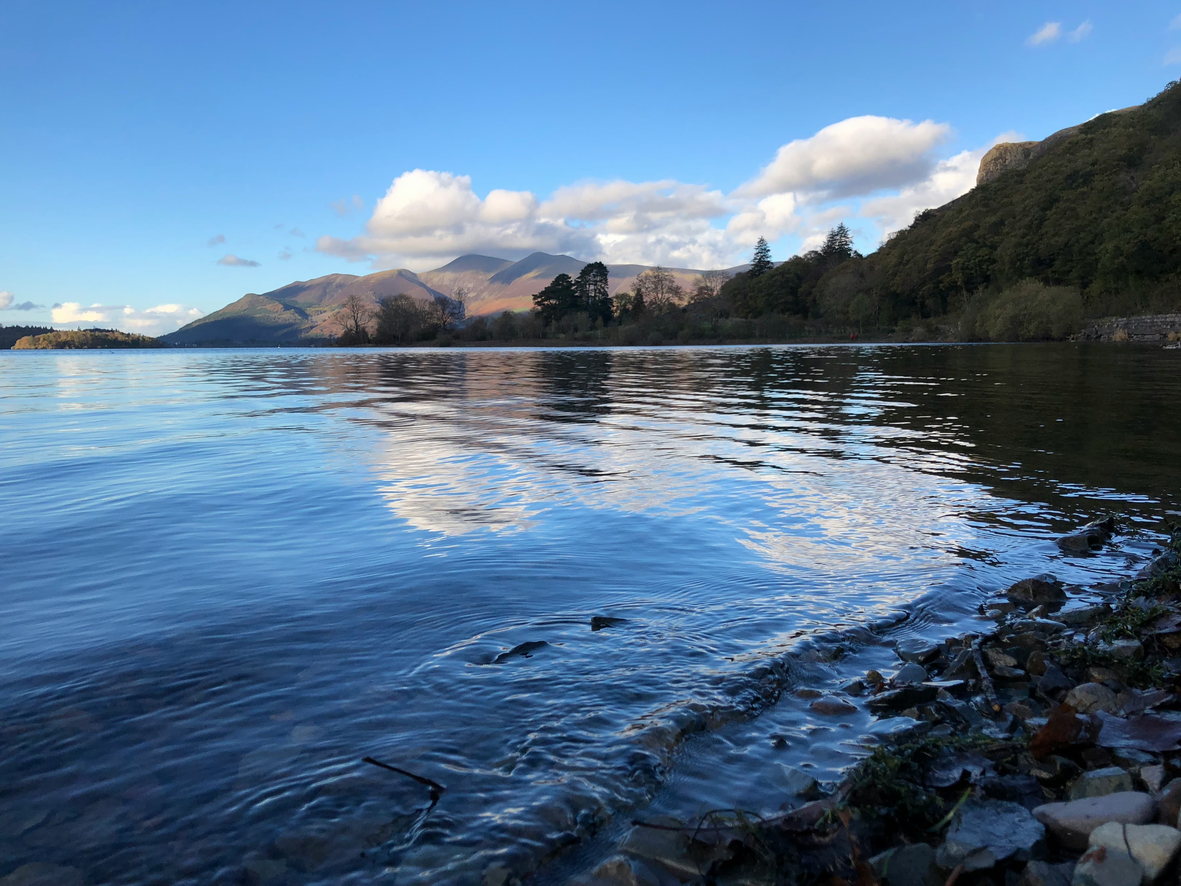 Pest Control in Cumbria and the Lake District Cumbria and The Lakes, covered by Clear Pest Control