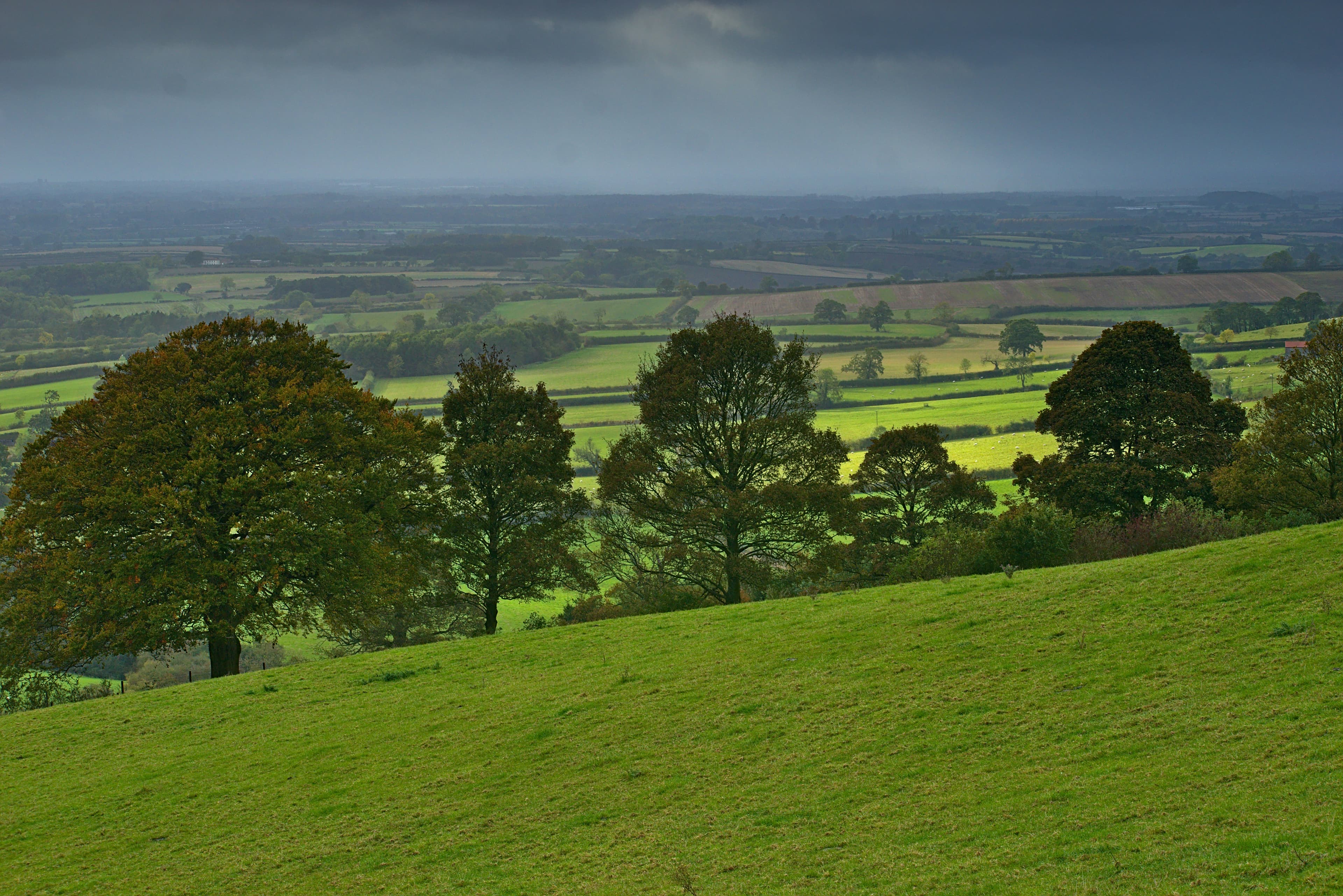Pest Control in Workington | Clear Pest Control Cumbrian countryside near Workington in an area served by Clear Pest Control