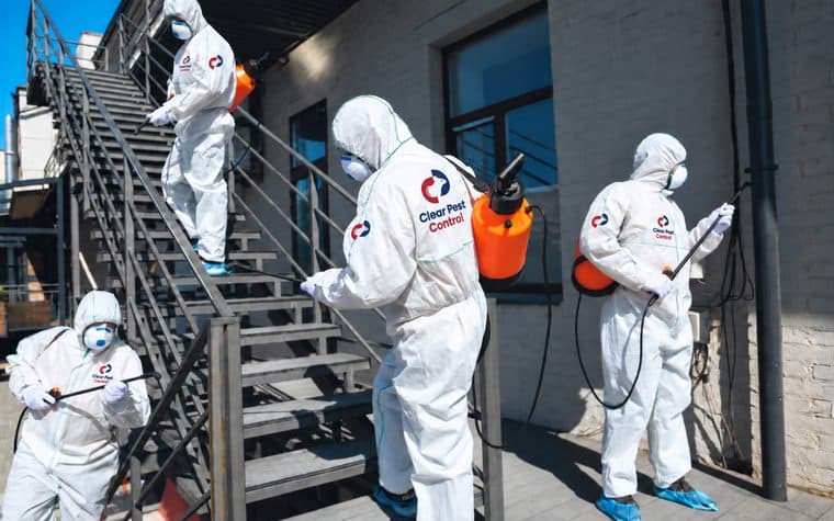Four Clear Pest Control technicians in branded protective suits treating the exterior of a commercial building