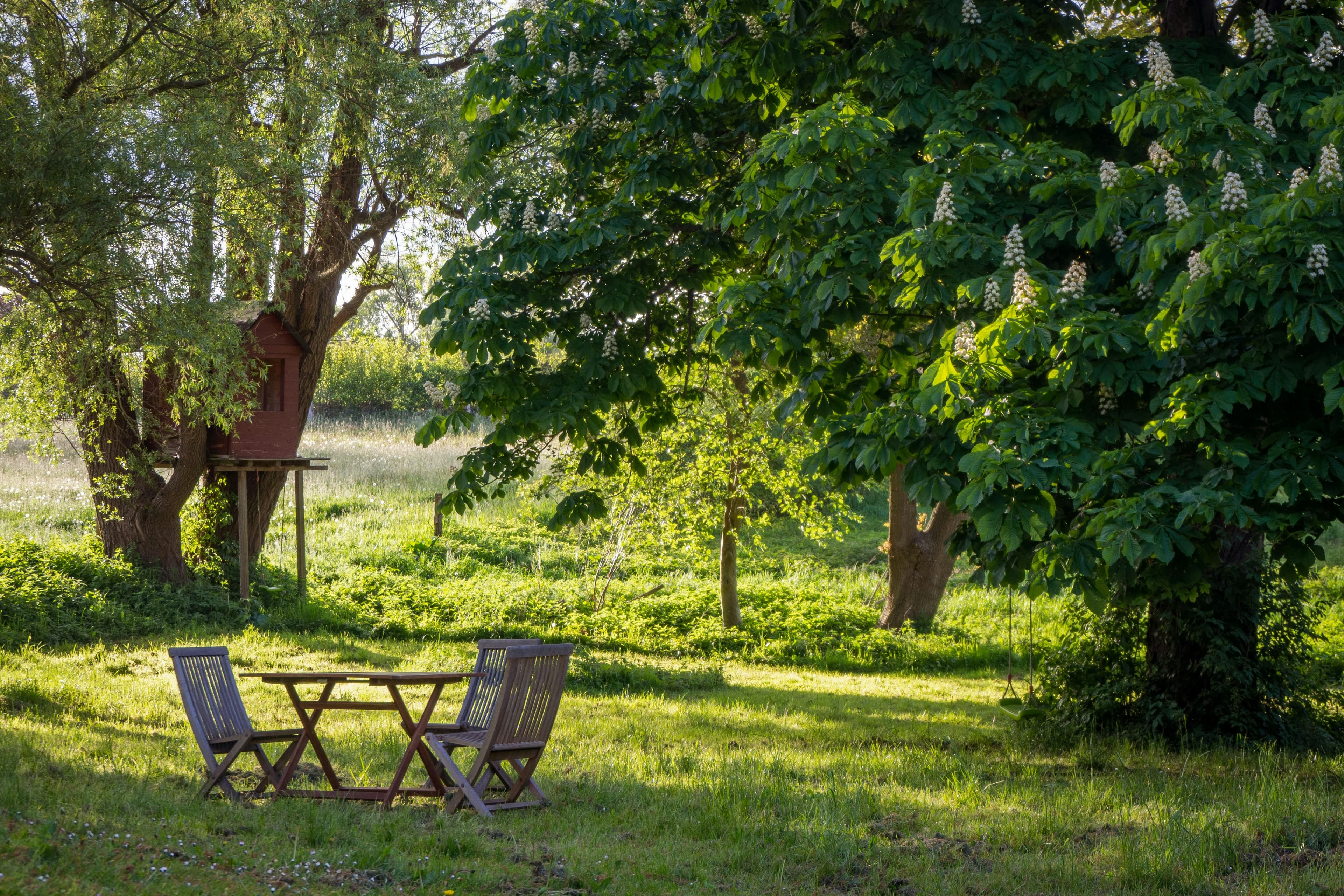 Garden and Grounds Pest Control | Clear Pest Control Residential garden with trees and seating representing outdoor pest control by Clear Pest Control