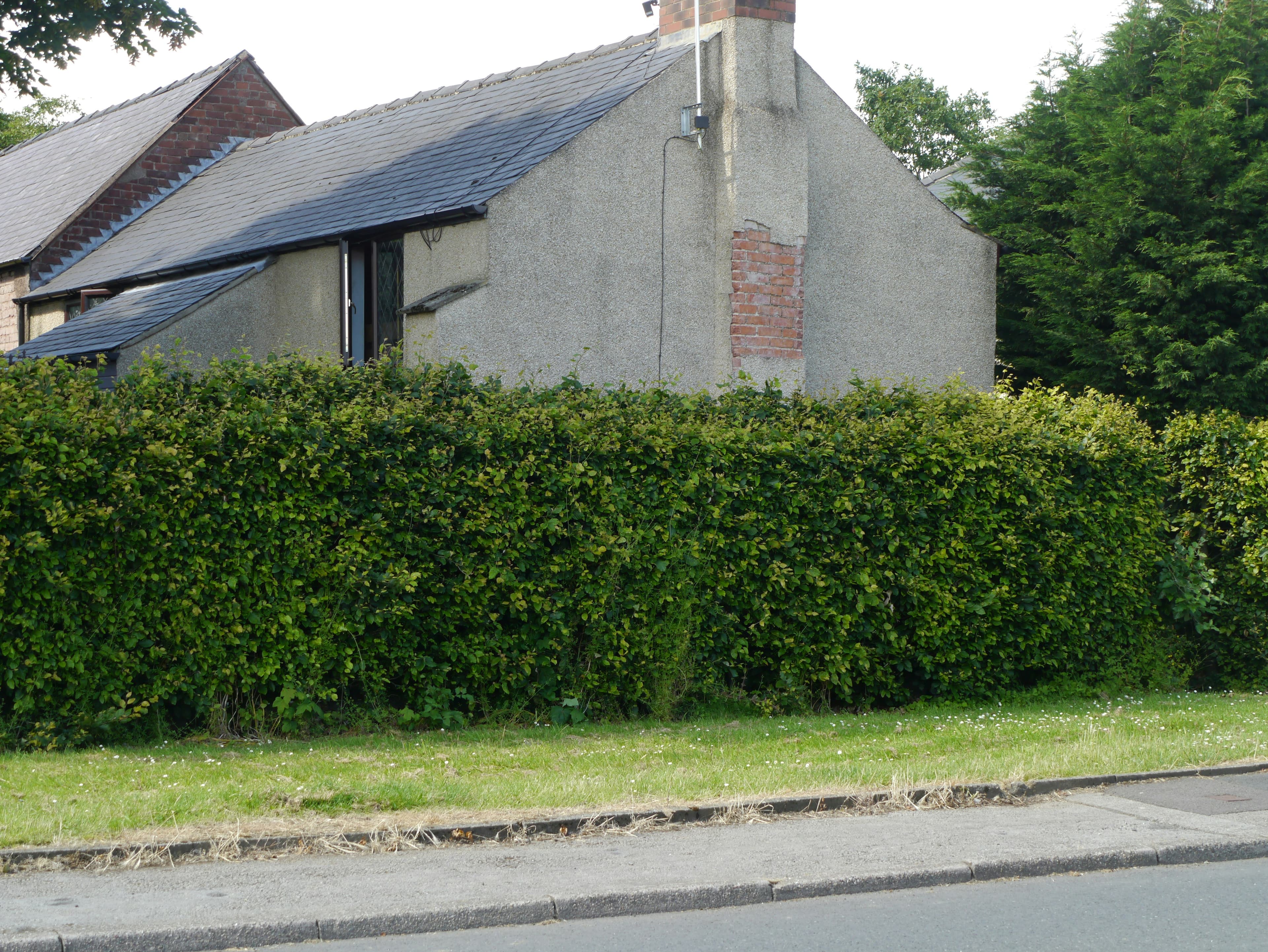Vacant Property Pest Control | Clear Pest Control Unoccupied house representing vacant property pest control by Clear Pest Control